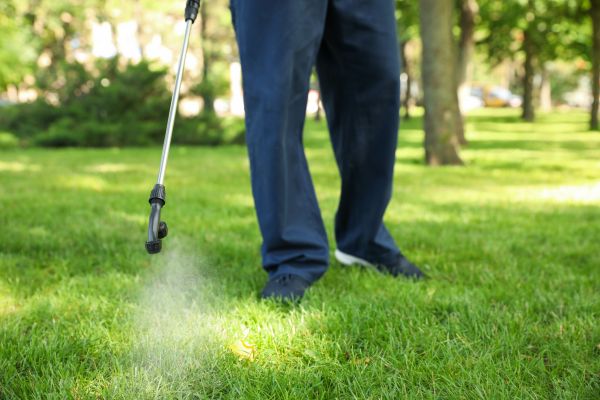 Lynchburg Lawn Treatment