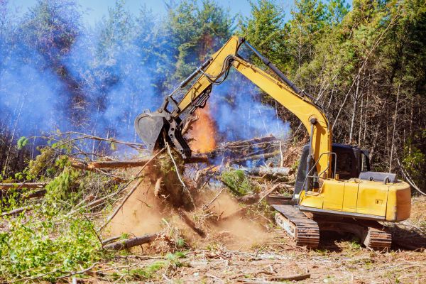 Lynchburg Land Clearing